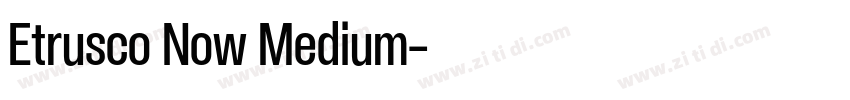 Etrusco Now Medium字体转换